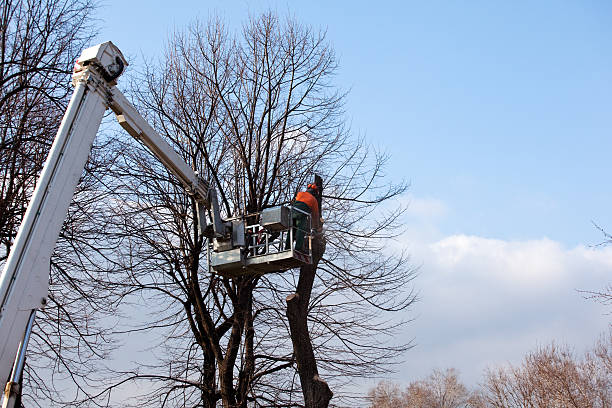 Mulching Services in Mountainside, NJ